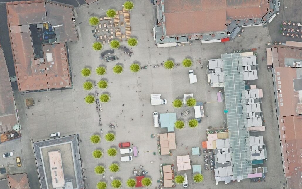 Würzburg: Bäume sollen Markt begrünen Würzburg: Bäume sollen Markt begrünen