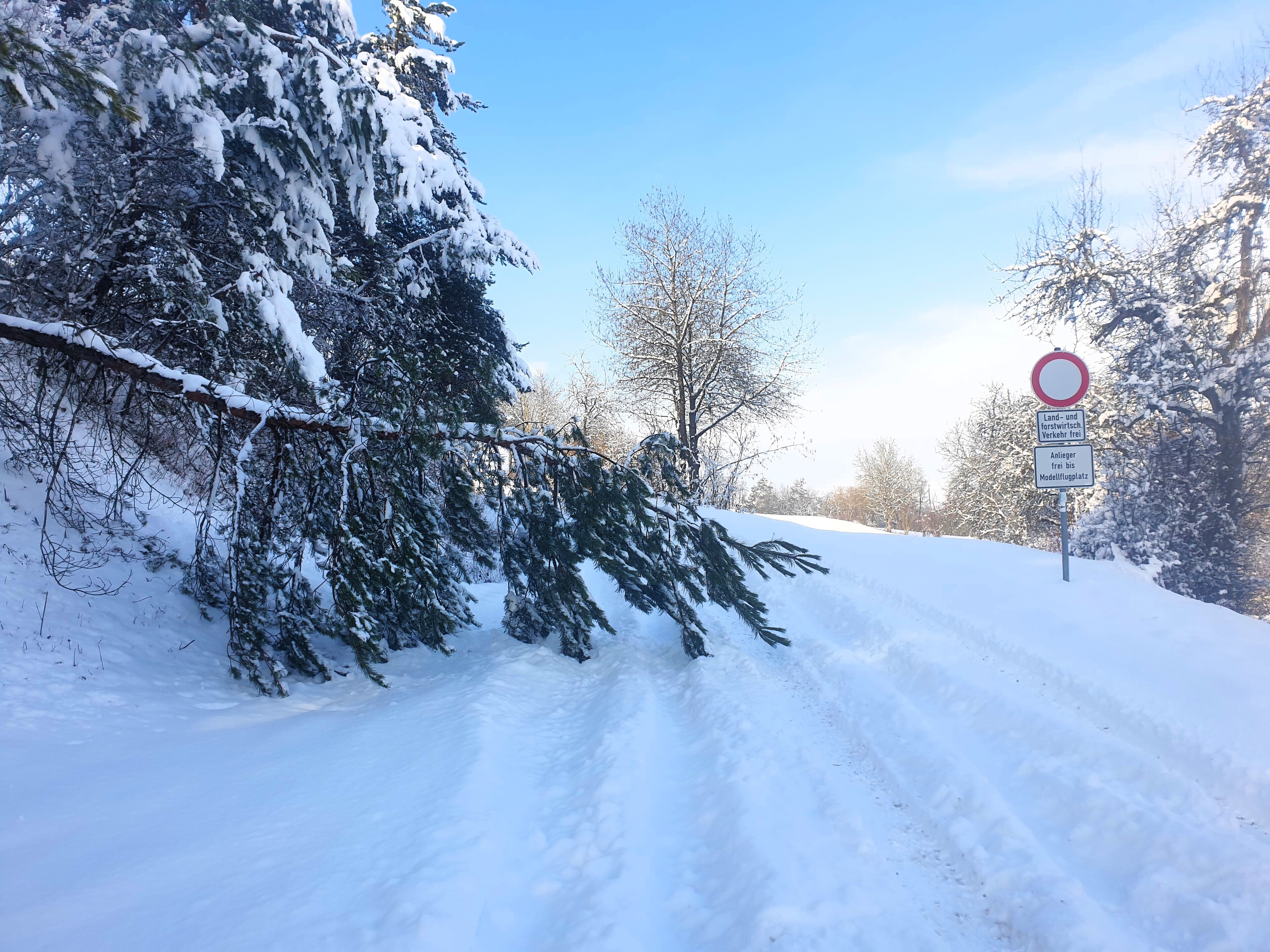 Mainfranken: Warnung vor Schneebruch in Wäldern