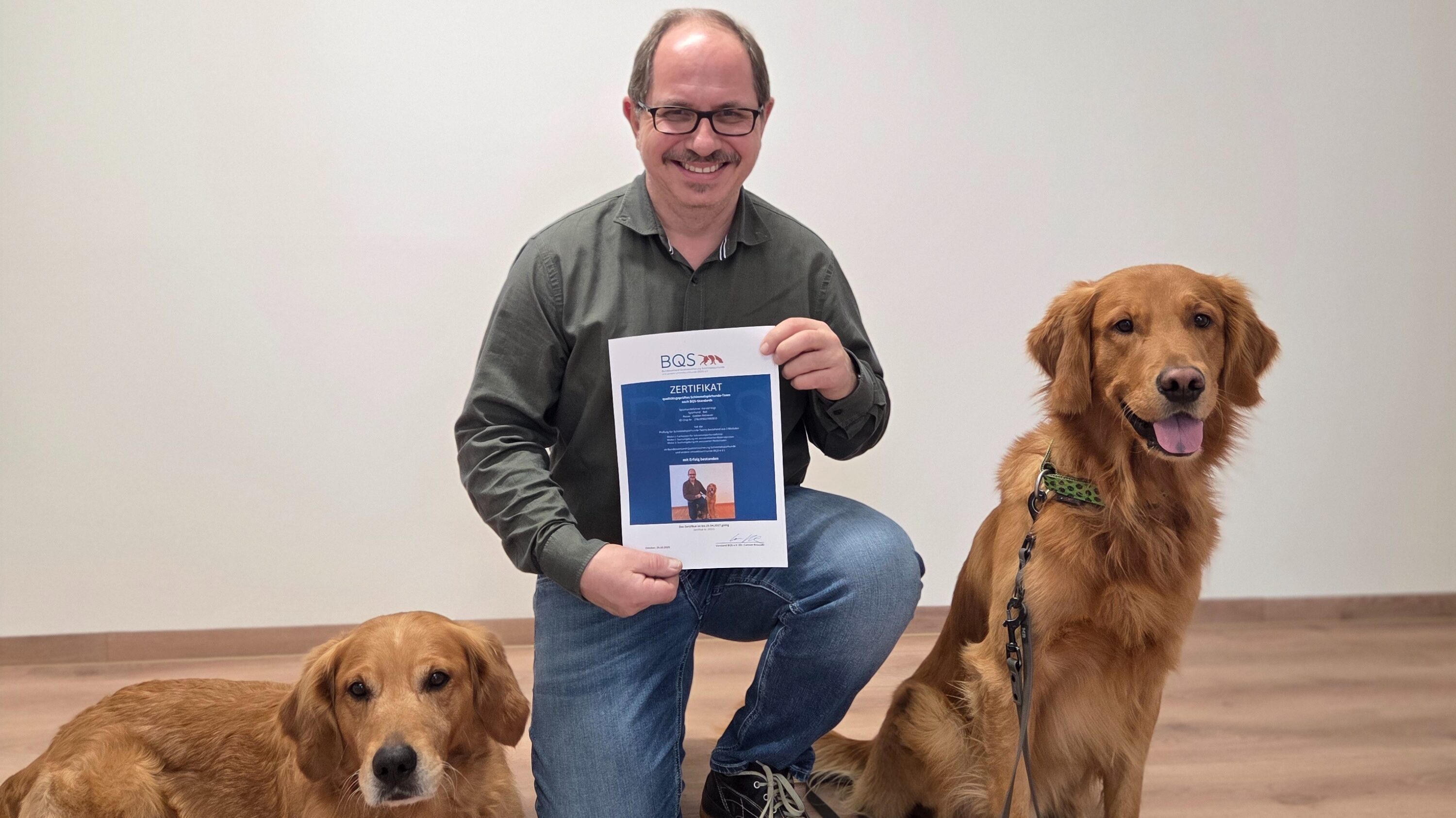 Schweinfurt: Schimmelspürhund Bali offiziell im Einsatz