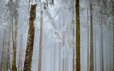 Erholt durch den Winter: Endlich wieder ruhig schlafen