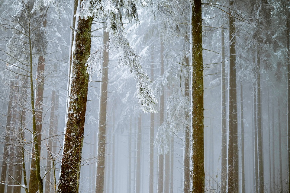 Erholt durch den Winter: Endlich wieder ruhig schlafen